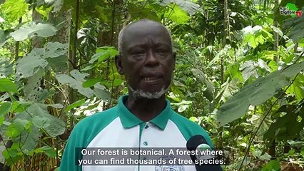 A Amakpapé, l’agriculture est un métier