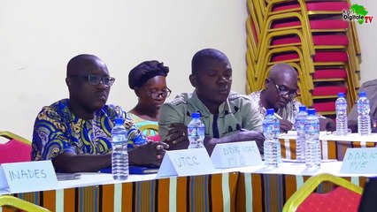 Togo- Créer de la valeur ajoutée dans la filière banane plantain