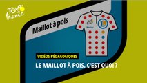 Vidéos pédagogiques - Le maillot à pois - #TDF2022