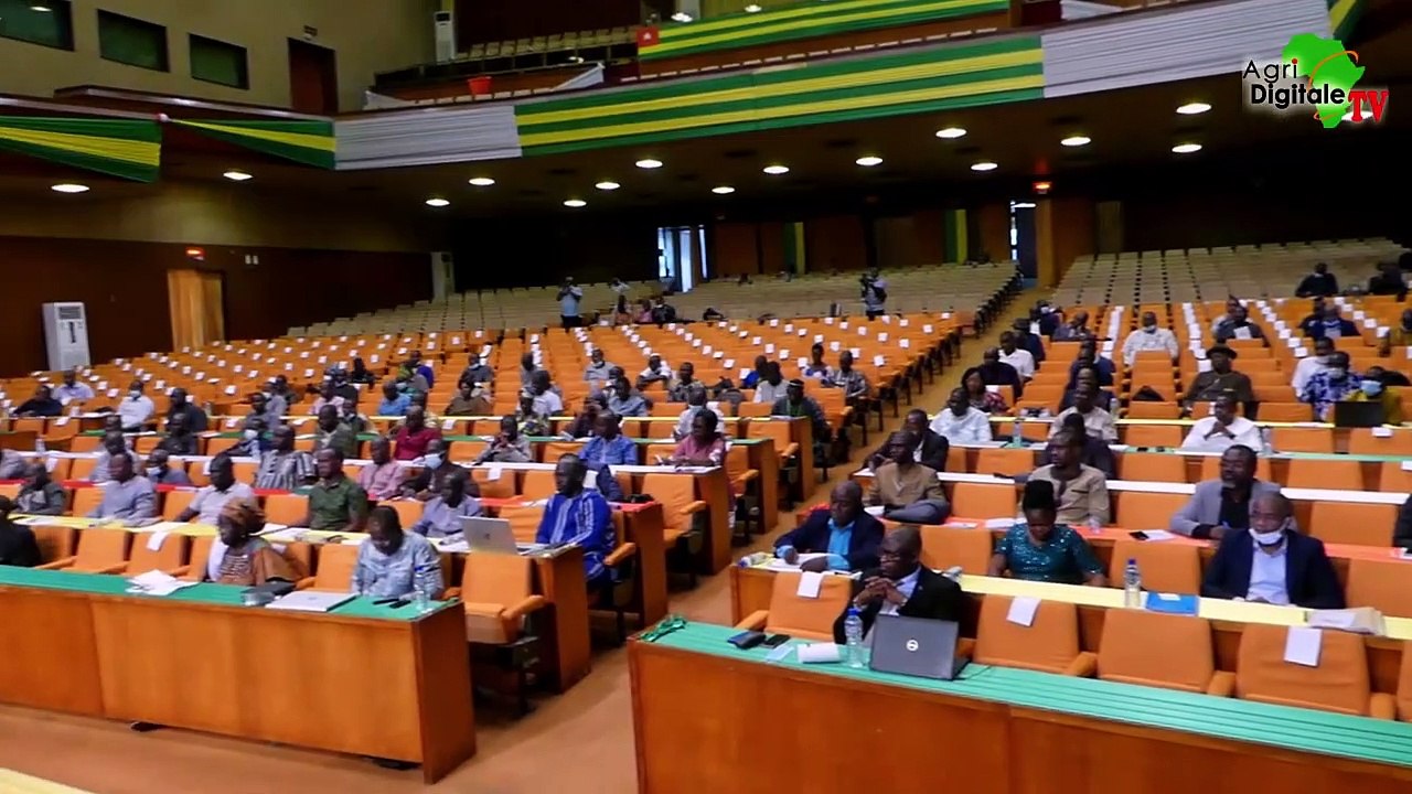 Togo- le coton à l’heure de la relance