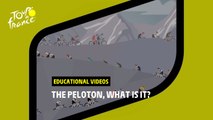 Educational videos - The peloton  - #TDF2022