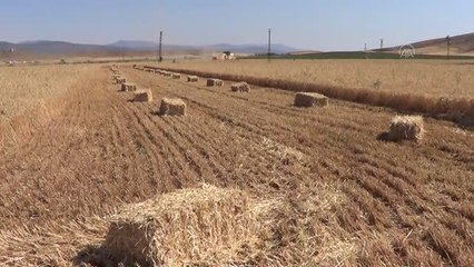 GAZİANTEP - Hububat hasadının ardından saman mesaisi başladı