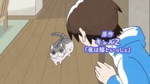 アニメ『夜は猫といっしょ』予告PV【8/3(水)より放送＆配信スタート！】
