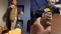 'Harmless bearded dragon scares Irish boy to the core *Try Not to Laugh* '