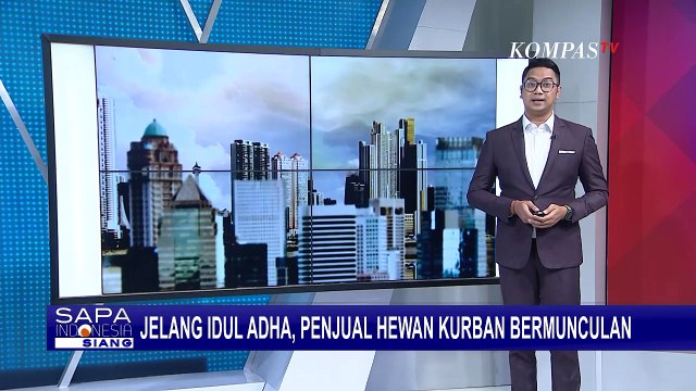 Wabah PMK Merebak: Itu Tak Menghalangi Penjualan Sapi Jelang Hari Raya Idul Adha!