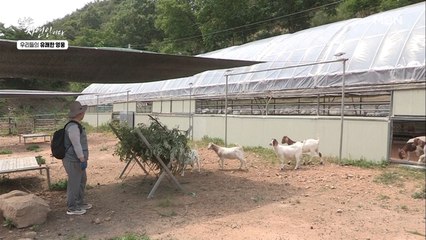 이승윤도 처음 본 염소?! 염소에 대해 잘 아는 자연인의 염소 사랑♡