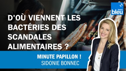 Fraich'Up, Kinder : d'où viennent les bactéries des scandales alimentaires ?