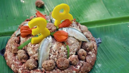 Animais ganham alimentação especial para comemorar aniversário de refúgios na fronteira