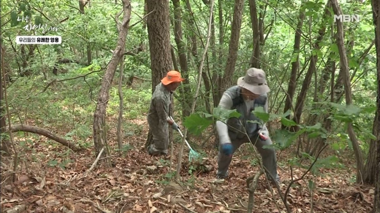 체력 좋은 자연인! 산에 씨 뿌리는 자연인과 이승윤!?