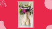 Le dupe parfait du vase d'Anissa Kermiche