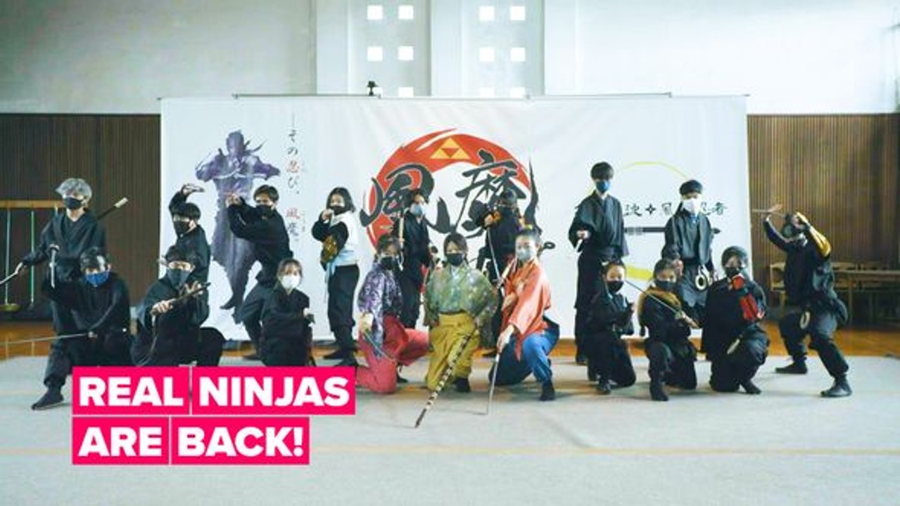 Real ninjas are back!