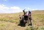 Vali Dr. Ozan Balcı traktörle korunga hasadı yaptı