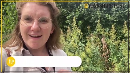 Yorkshire Post bulletin - June 29