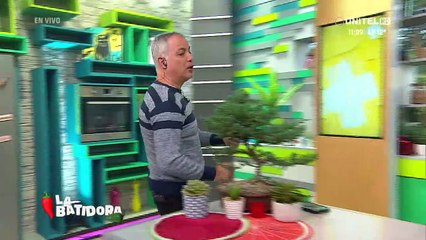 Receta: Aprendemos cómo hacer una Tarta Tropeziene, parte 4