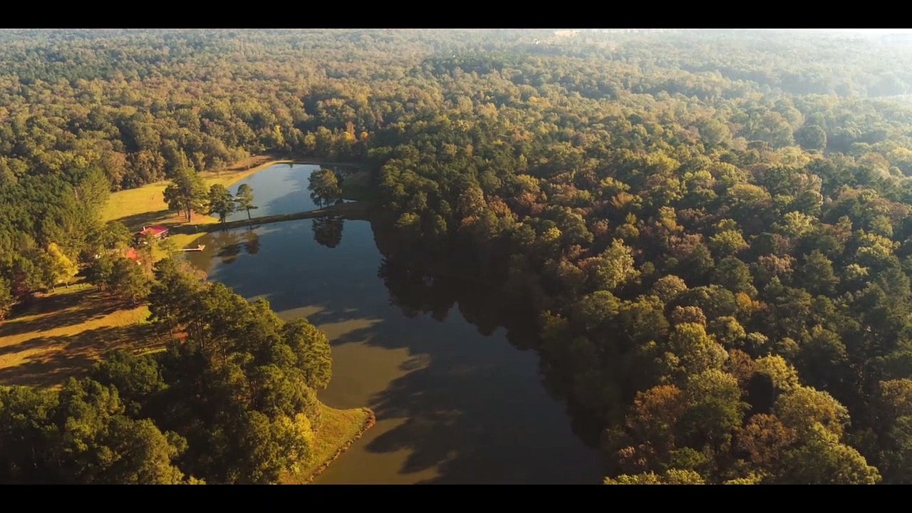 Wrong Place Trailer #1 (2022) Bruce Willis, Ashley Greene Thriller Movie HD