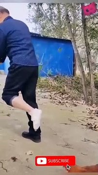 Funniest animal videos ever 2022 #shorts #animals #cat #funnyanimals #dog