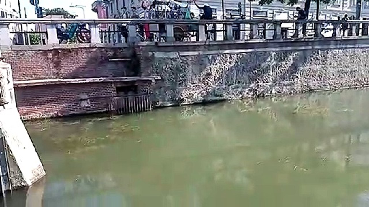 Siccità? A Milano la Darsena quasi trabocca d'acqua
