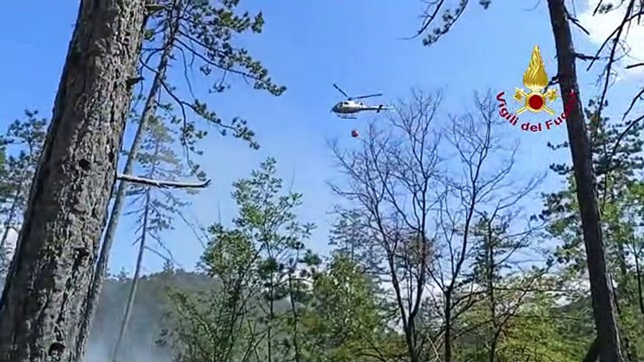 Incendio a Barberino di Mugello, un bosco avvolto dalle fiamme