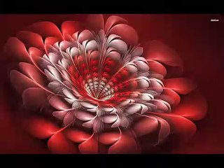 Puiu Nastase - La jumatatea vietii