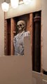 Owners Renovating Bathroom Find Model Skeleton with a Note