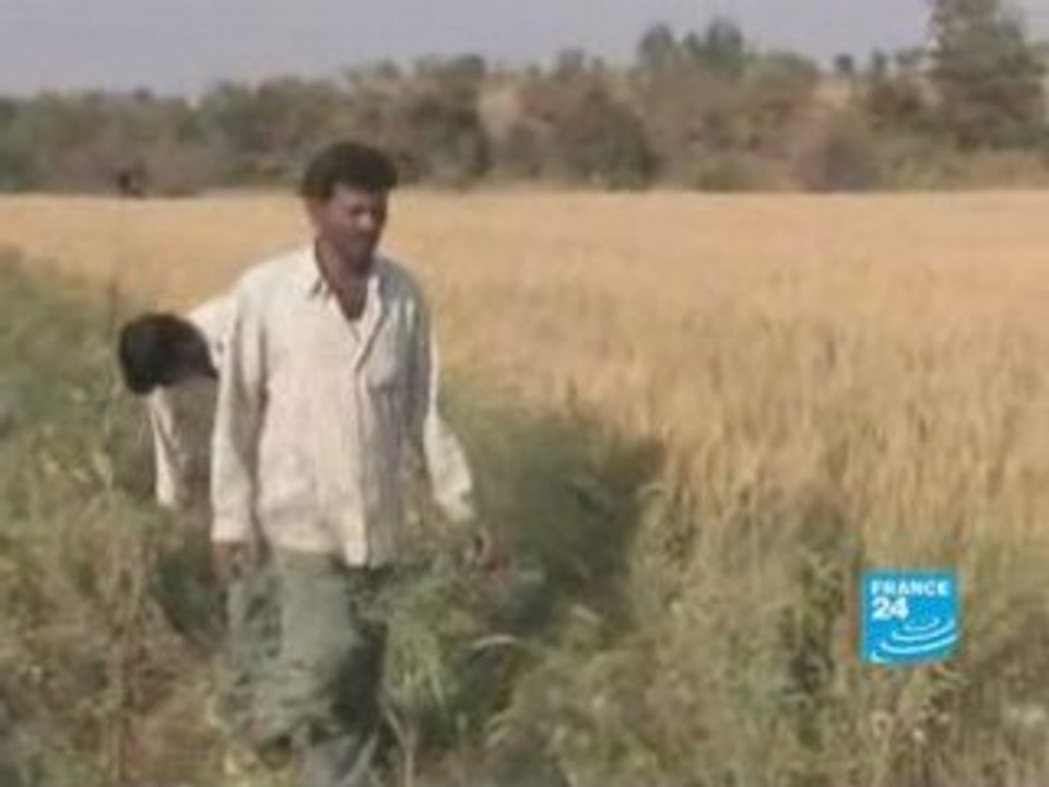 Debt-ridden farmers committing suicide -  France 24