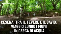 Cesena, tra il Tevere e il Savio, viaggio lungo i fiumi in cerca di acqua