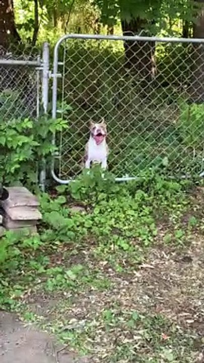 Not Her Brightest Moment