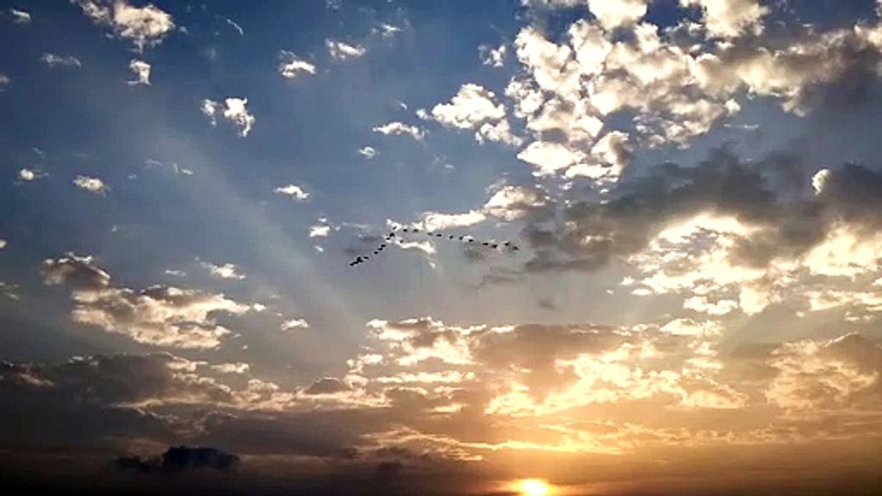 Cloudy Blue sky weather. Flying birds. Subhasis sen. 30.06.2022