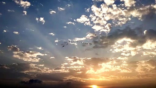 Cloudy Blue sky weather. Flying birds. Subhasis sen. 30.06.2022