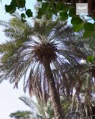 الزعاق: ذو الحجة يحوي أحر مواسم السنة
