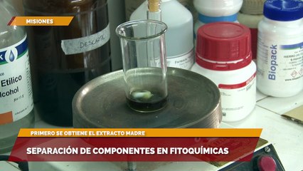 Separación de componentes en fitoquímicas