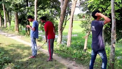 Top Funny Stupid Boys - Very Comedy Video 2019