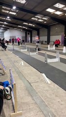 High Speed Dogs Race at Flyball Competition