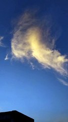 Good morning. Blue sky. Subhasis sen