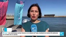 Informe desde Lisboa: organizaciones luchan contra la extinción de los arrecifes de coral