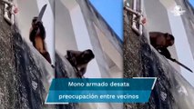 Mono armado amenaza a vecinos; les roba galletitas y jabón
