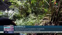 Guatemala: Derrumbes ponen en peligro la vida de varias comunidades en el país