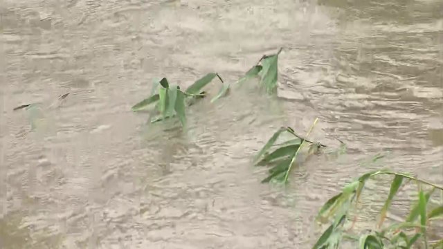 [날씨] 수도권·영서 폭우, 200mm↑...서울 대곡교 '홍수주의보' / YTN