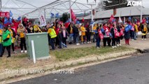 Teachers strike in Bathurst | ACM | July 30, 2022