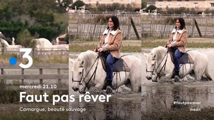 Faut pas rêver (France 3) Camargue, beauté sauvage