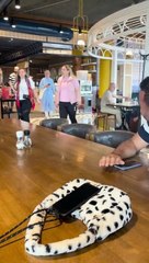 Mujeres organizadas le hacen bromas a sus maridos