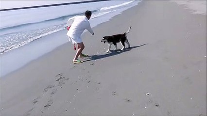 竜宮の磯で波遊び