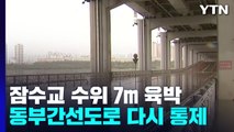 잠수교 수위 7m 육박...동부간선도로 다시 전면통제 / YTN