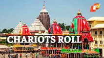 Rath Yatra: Watch Chariots Pulled & Parked Outside Singhadwar Of Puri Jagannath Temple
