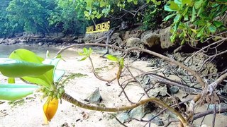 Pantai Pasir Putih BANYU MENENG