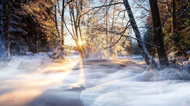 10 Minutes Morning Meditation Gratitude and Positivity To Start Your Day