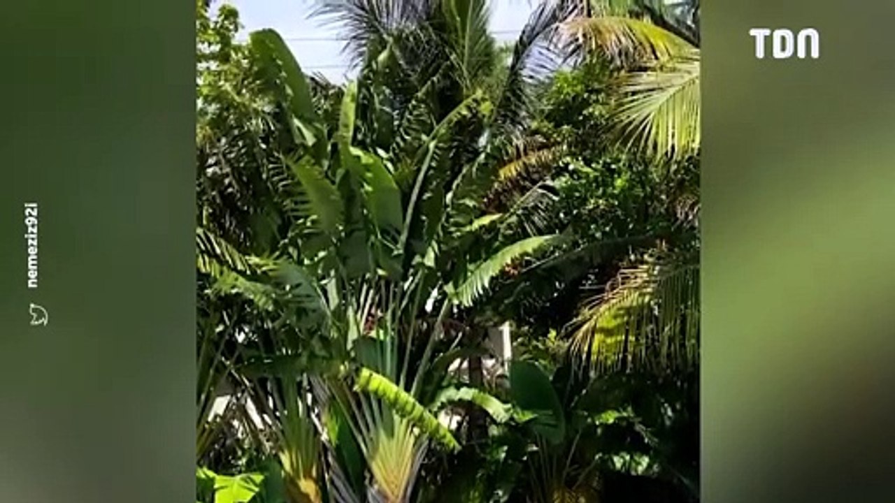 Kaaris se fait détruire par son ex-femme : Booba prend la parole et la défend