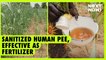 Sanitized human pee, effective as fertilizer | NEXT NOW