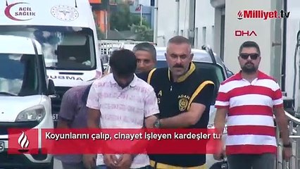 Koyunlarını çalıp, cinayet işleyen kardeşler tutuklandı