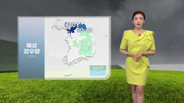 [날씨] 수도권 곳곳 국지성 호우...중부지방 산사태특보 확대 / YTN
